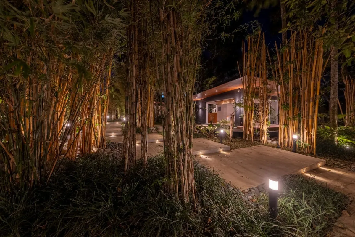 Bamboo-lined resort pathway with ambient lighting